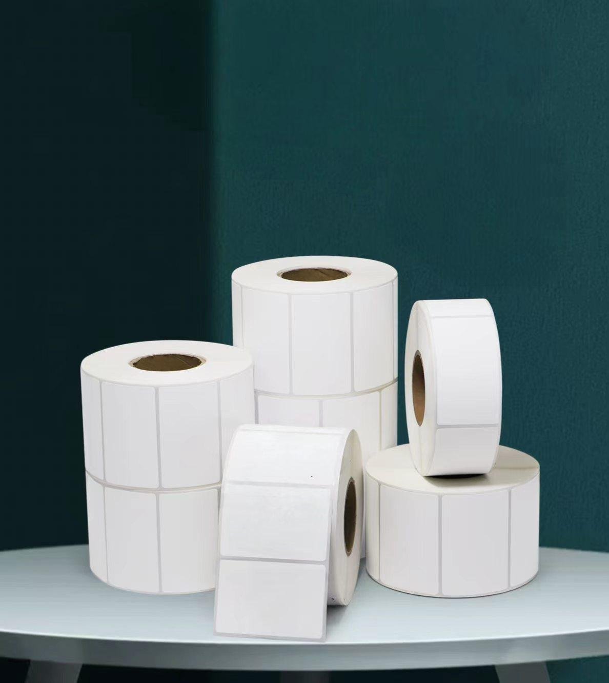 Coated paper adhesive label rolls